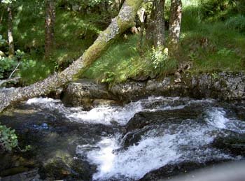 Web Altcorrieglaish.jpg