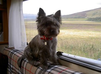 Web Mistysepthols.jpg