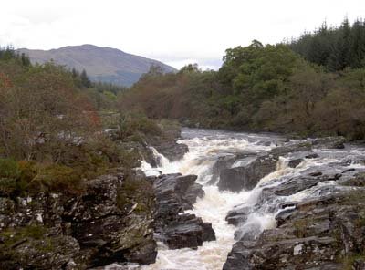Web Riverorchy.jpg