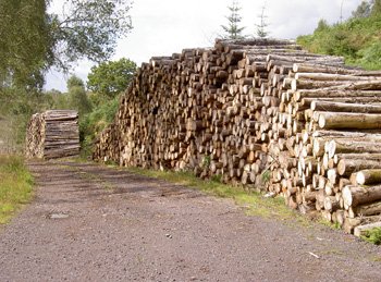 web-logs.jpg